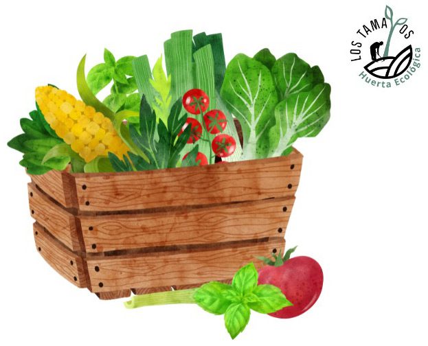 Ecocaja de Verduras Imagen de una Ecocaja de Verduras